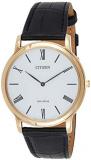 Citizen Men's Eco-Drive AR1113-12B Black Leather Analog Quartz Watch with White Dial