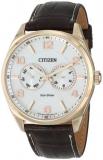 Citizen Watches AO9023-01A Men's Dress
