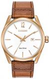 Citizen CTO Eco-Drive Men's Watch