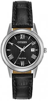Watch Citizen Eco Drive Marine BU2040-56L Steel Man
