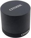 Citizen Chandler Eco-Drive Silver Dial Ladies Watch FE6100-16A