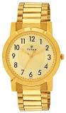 Titan Analog Gold Dial Men's Watch -NK1647YM02