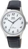 Q&Q Mens C152J304Y Watch