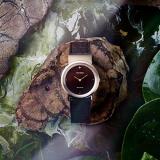 Citizen Women's Analogue Eco-Drive Watch with a Leather Band