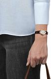 Tissot womens Bellissima 316L stainless steel case with rose gold PVD coating Dress Watch Brown T1260103601300