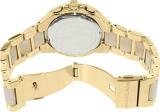 Michael Kors Watches Camille Women's Watch (Gold)