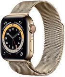 Apple Watch Series 6 40mm Gold Aluminum Milanese Loop (GPS+Cellular) M02P3LL/A (Renewed)
