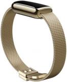 Fitbit Luxe Platinum Stainless Steel Mesh Accessory Band, Official Product, One Size