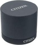 Citizen Women's 'Eco-Drive' Quartz Stainless Steel Casual Watch, Color:Silver-Toned (Model: FE2080-56L)