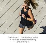 Garmin Forerunner 645, GPS Running Watch with Garmin Pay Contactless Payments and Wrist-based Heart Rate, Sandstone